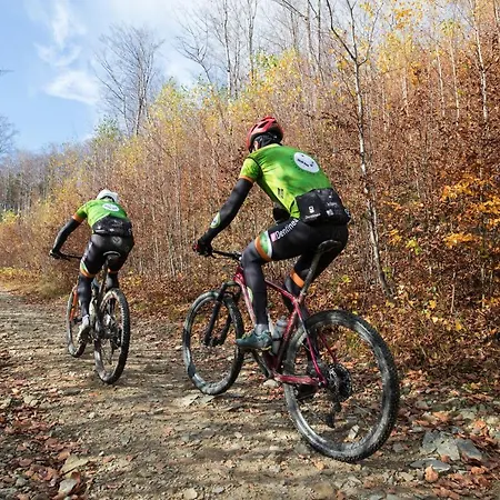 Szálloda Apartament Szyndzielnia