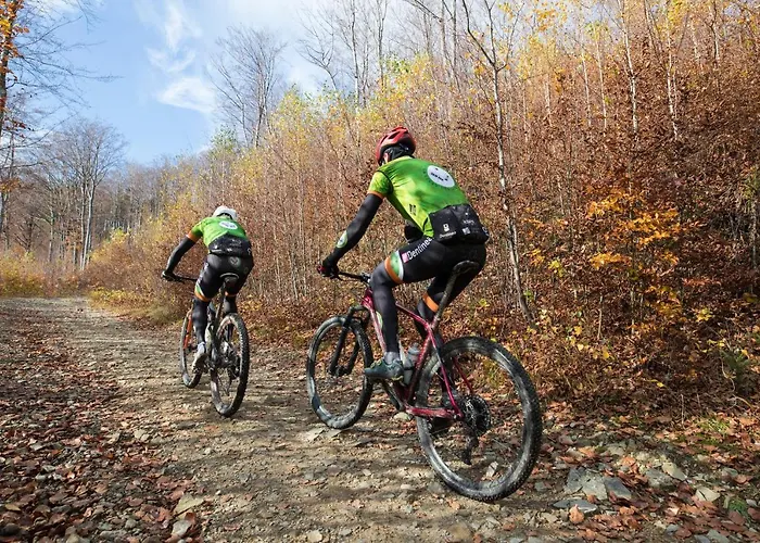 מלון Apartament Szyndzielnia