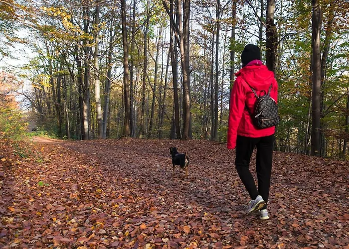 Apartament Szyndzielnia * ביילסקו-ביאלה