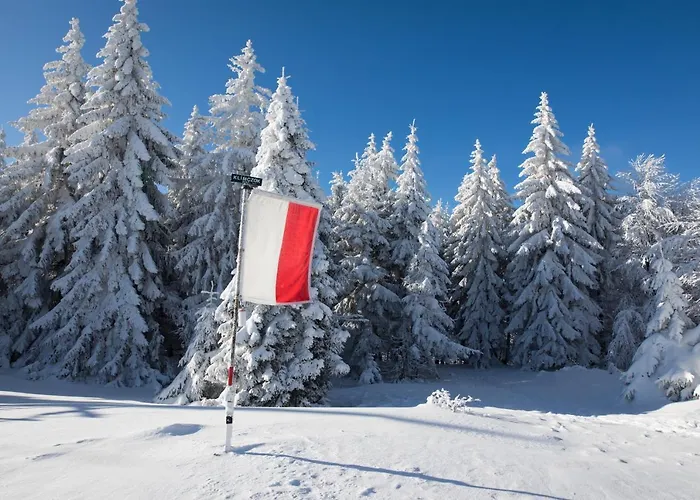 מלון Apartament Szyndzielnia